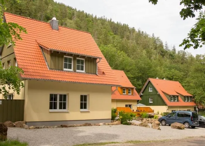 Prázdninový dům Ferienhaeuser Ilsestein Doppelhaus, 100 Qm 3 Schlafzimmer