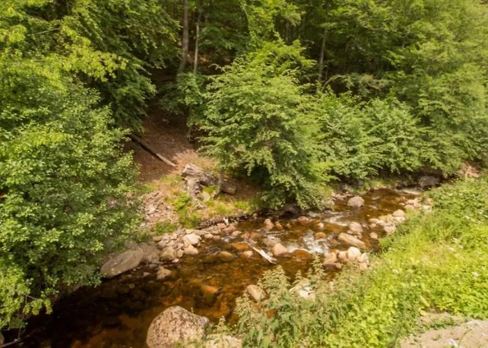 Ferienhaeuser Ilsestein Doppelhaus, 100 Qm 3 Schlafzimmer Prázdninový dům *
