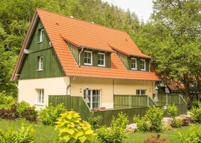 Prázdninový dům Ferienhaeuser Ilsestein Doppelhaus, 100 Qm 3 Schlafzimmer *